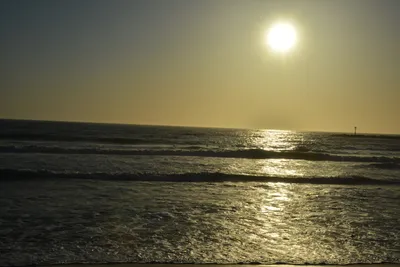 DSC_7242 (Large).JPG